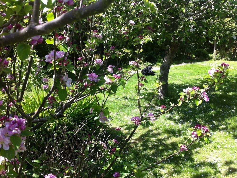 Arbour House B&B スワネージ エクステリア 写真